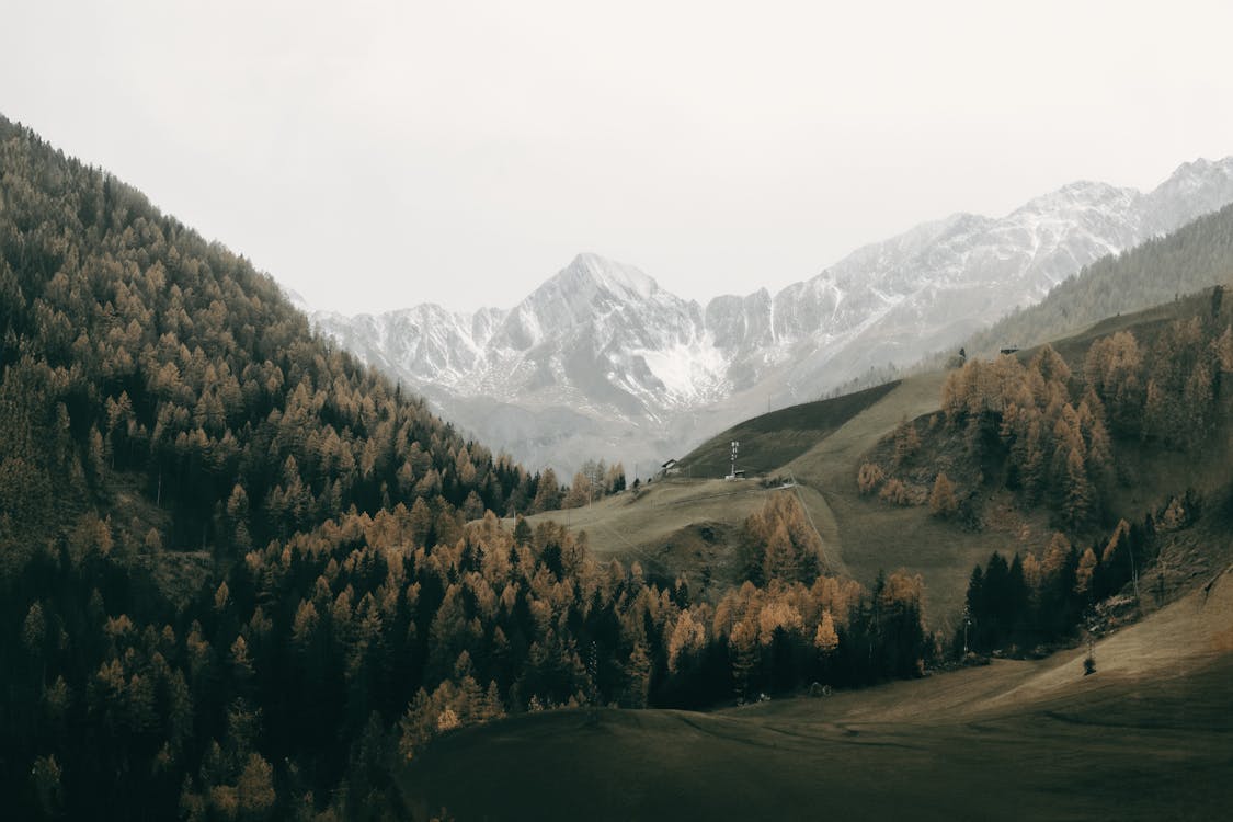 Garments Machinery and Accessories Stk Design Library Image 2