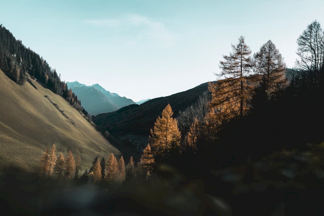 Garments Machinery and Accessories Stk Design Library Image 6